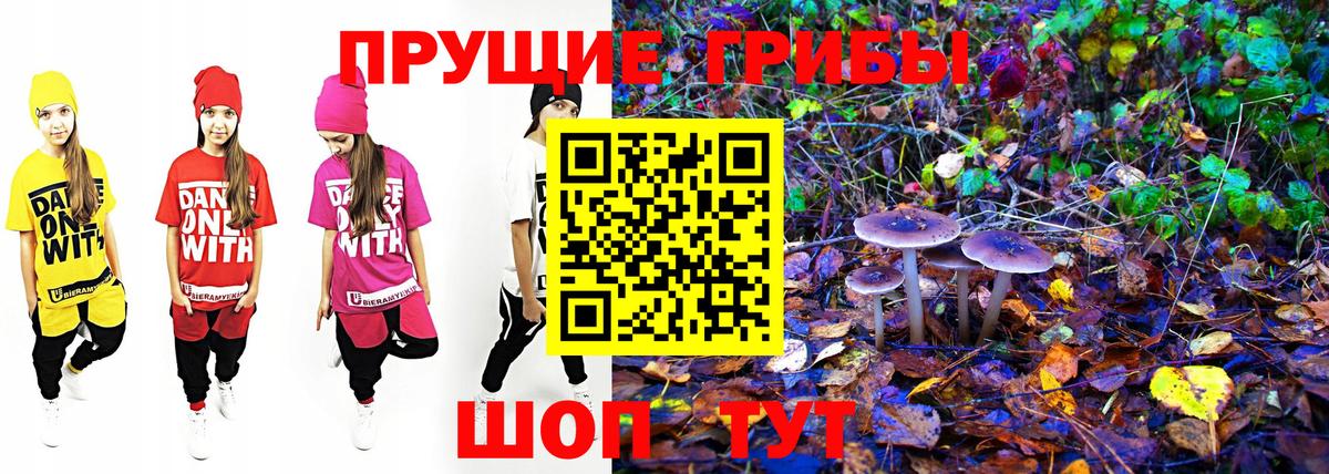 Галлюциногенные грибы Cubensis  где найти   Галлюциногенные грибы прущие грибы  Торжок  Вход с VPN 