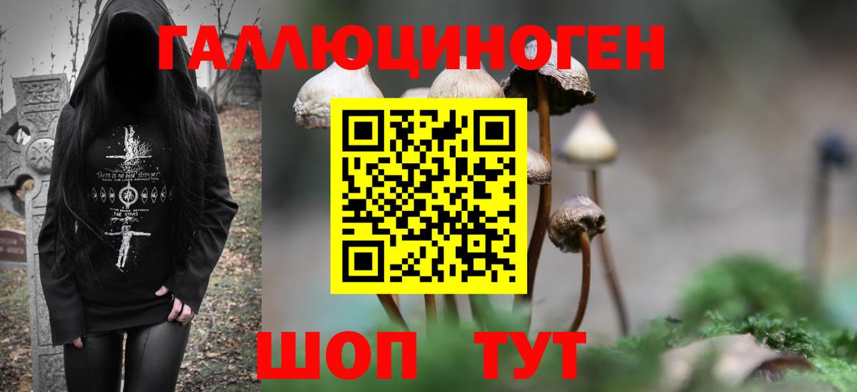 Галлюциногенные грибы MAGIC MUSHROOMS Торжок
